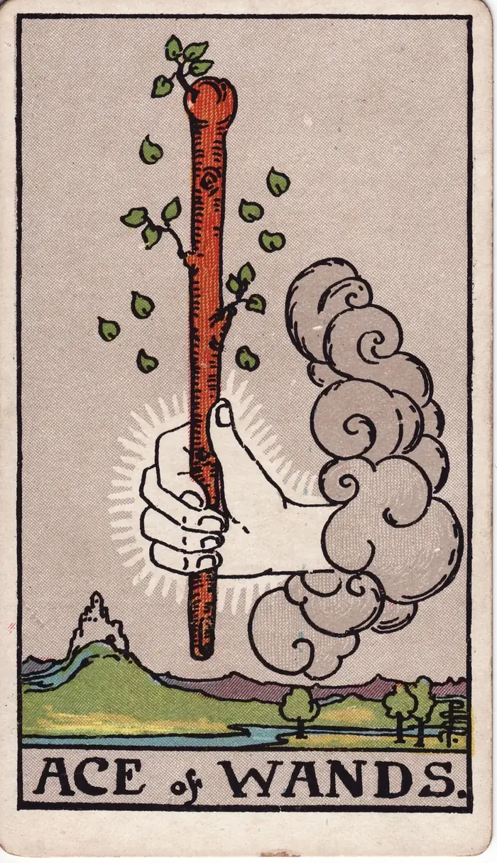 Ás de Paus