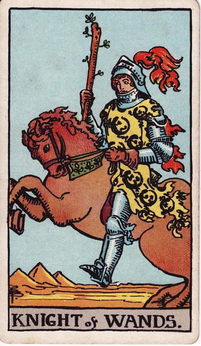 Cavaleiro de Paus