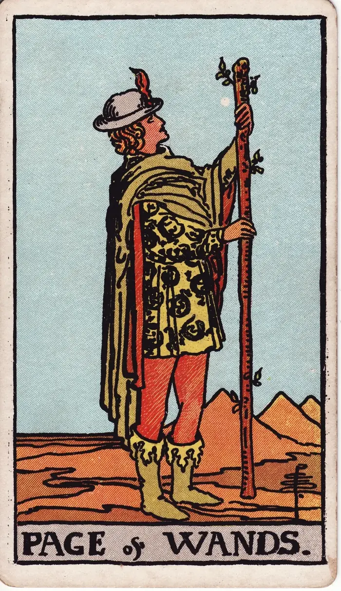 Pajem de Paus